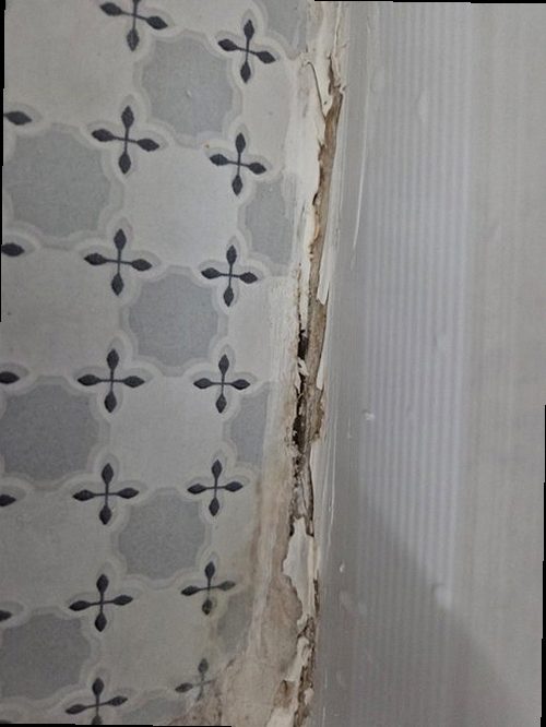 오산 누수탐지 욕실 천장 물자국과 바닥 배수구 주변을 확인하는 현장 점검