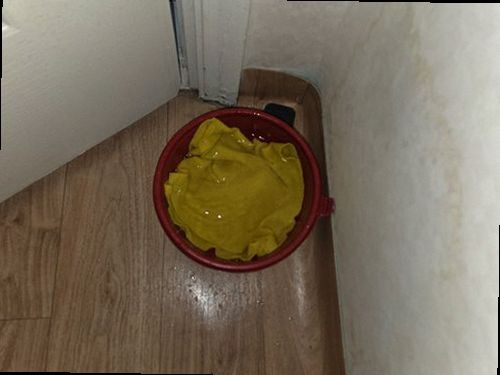 시흥 누수탐지 거실 천장 누수 흔적과 수분 측정 점검 모습