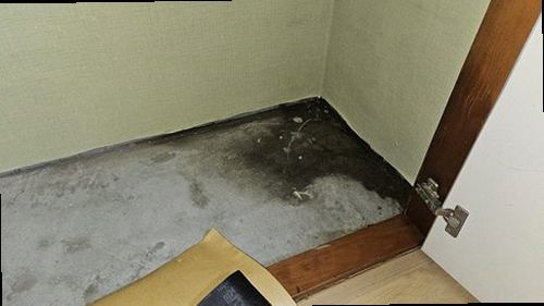 성북구 누수탐지 베란다 천장과 벽면에 나타난 누수 흔적 점검 모습