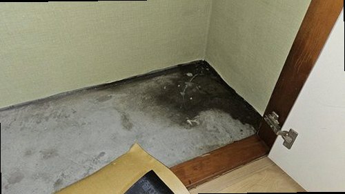 금천구 누수탐지 수도계량기 별침 확인과 공압검사 장비를 활용한 누수 진단