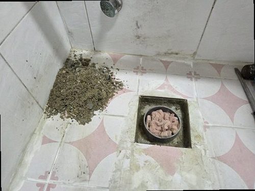 일산동구 누수탐지 누수 위치를 확인하기 위한 압력 게이지와 탐지 장비