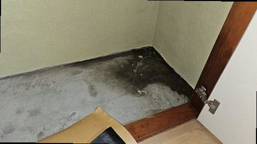 효행구 누수탐지 베란다 벽면과 천장에 발생한 누수 흔적을 확인하는 현장