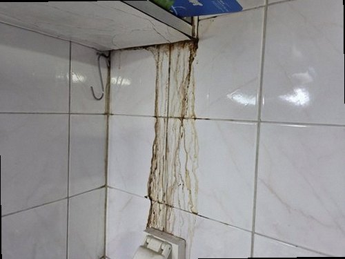 처인구 누수탐지 호동