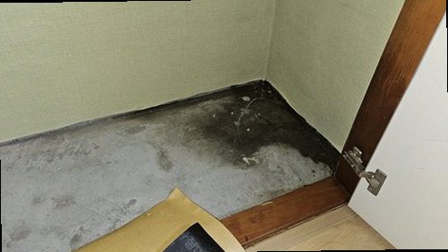 강남구 누수탐지 압력 게이지로 배관 내부 상태를 확인하는 검사 과정