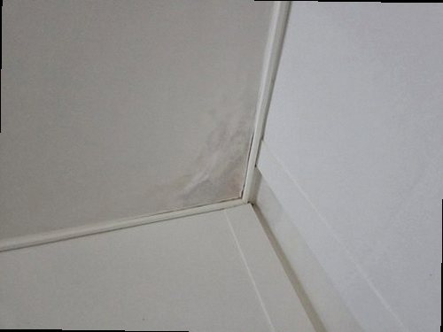 부산 북구 누수탐지 천장과 벽면의 누수 흔적 및 수분 측정 점검 모습