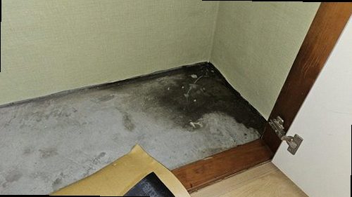 대전 동구 누수탐지 창틀 실란트의 갈라짐과 수분측정기 점검 장면