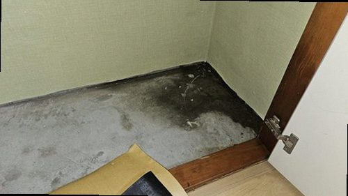 연천 누수탐지 가스 탐지와 청음 탐지로 배관 위치를 좁히는 과정