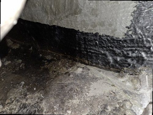광진구 누수탐지 천장 얼룩과 벽면 수분 흔적을 확인하는 현장