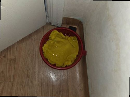 관악구 누수탐지 수도계량기와 압력 게이지로 배관 상태를 점검하는 모습